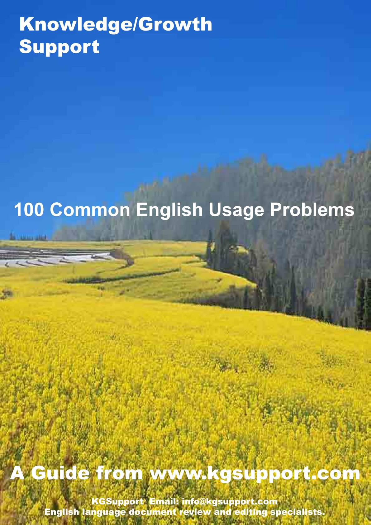 First page of 100 Common English Usage Problems