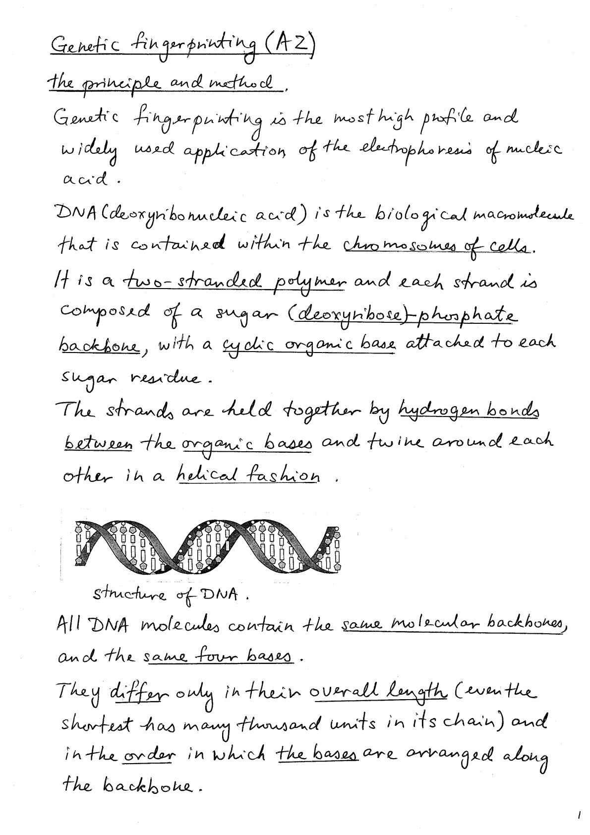First page of A-Level Biology Genetic Fingerprinting Notes Zimbabwe