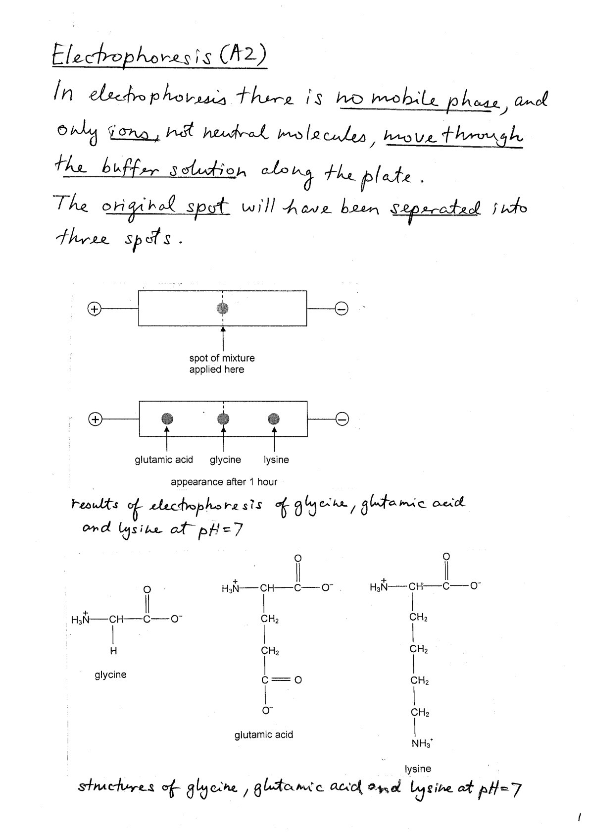 First page of A-Level Chemistry Electrophoresis Notes Zimbabwe