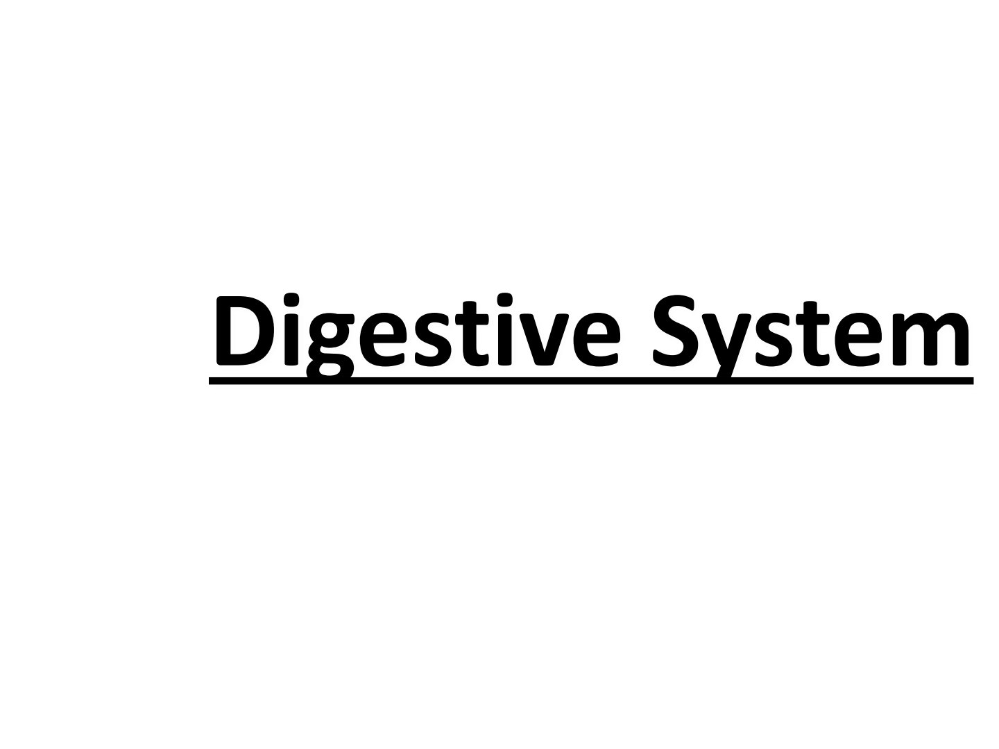 First page of Biology Digestive System Notes Zimbabwe