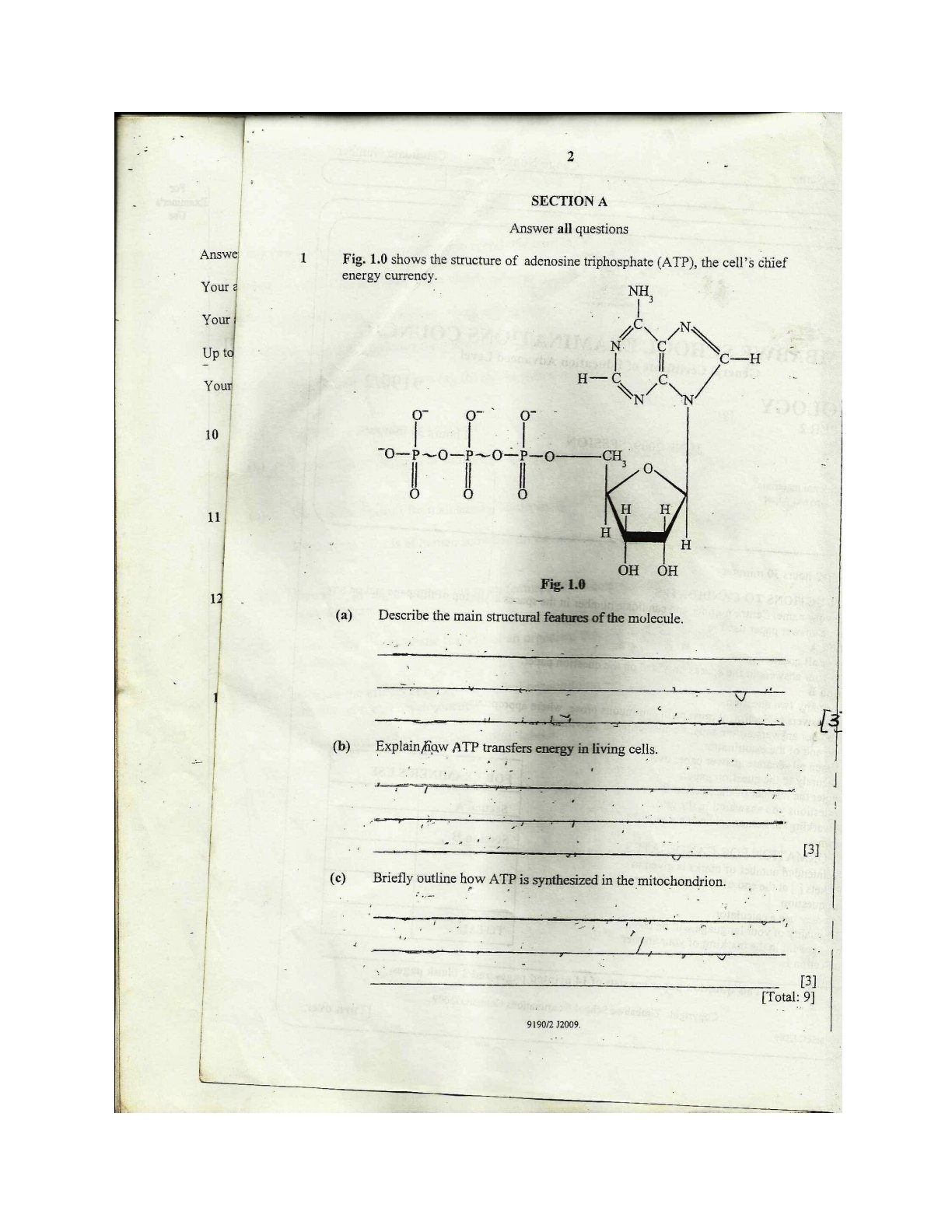 First page of CIE O-Level Biology Paper 2 June 2009 Question Paper