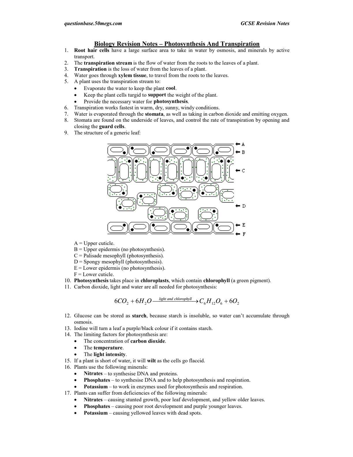 First page of GCSE Biology Photosynthesis and Transpiration Notes Zimbabwe