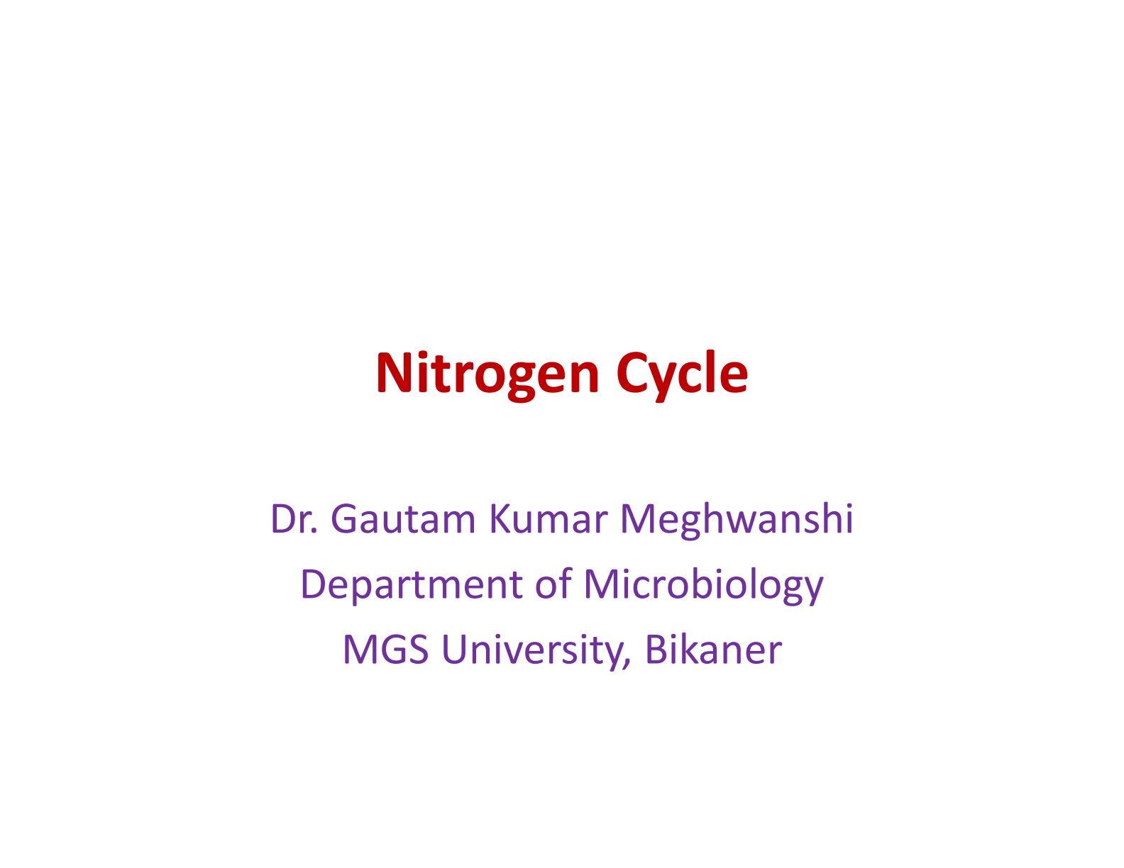 First page of Nitrogen Cycle Notes
