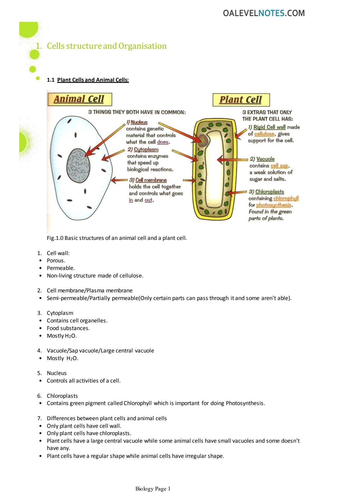 First page of O-Level Biology Cells structure and Organisation Notes Zimbabwe