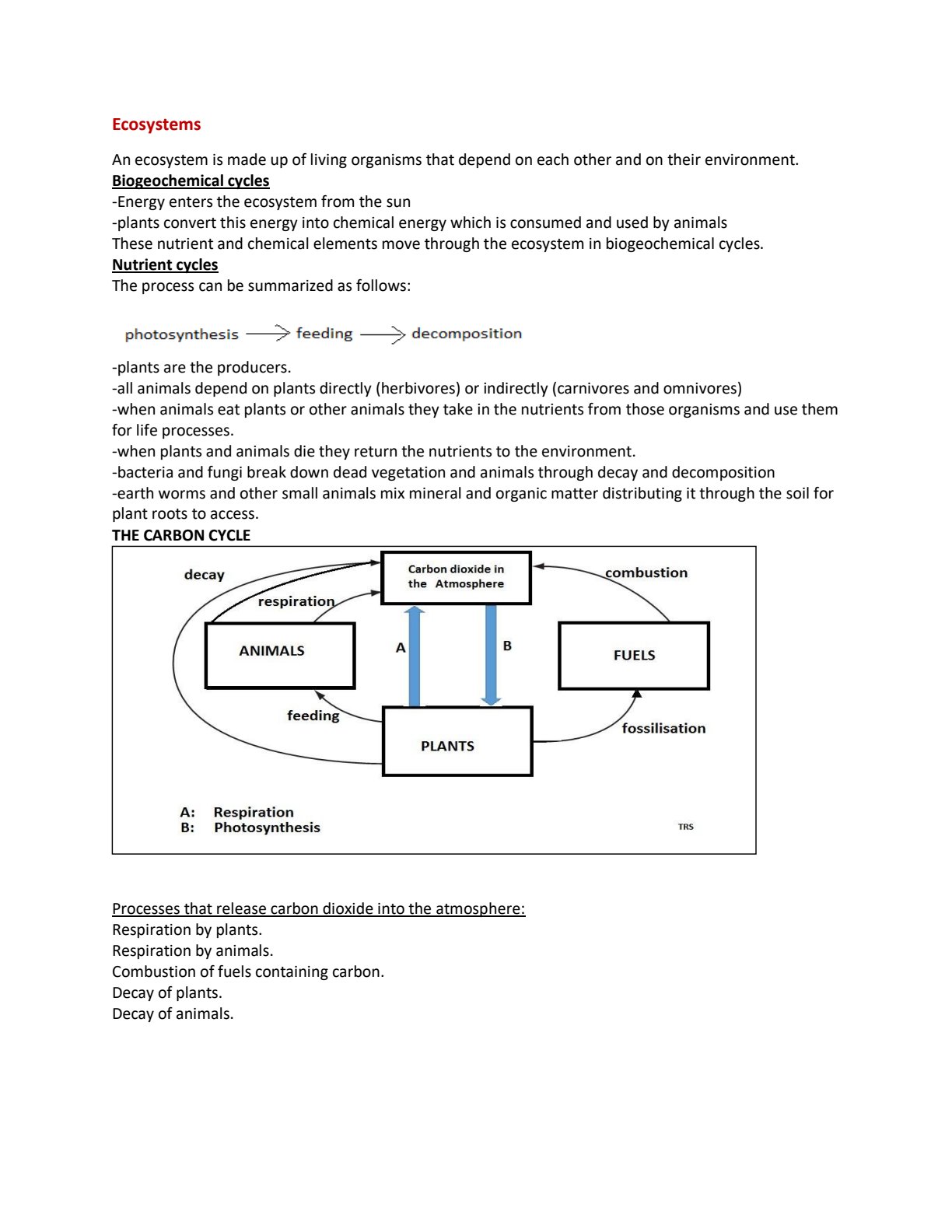 First page of Secondary Biology Ecosystems and Biogeochemical Cycles Notes Zimbabwe