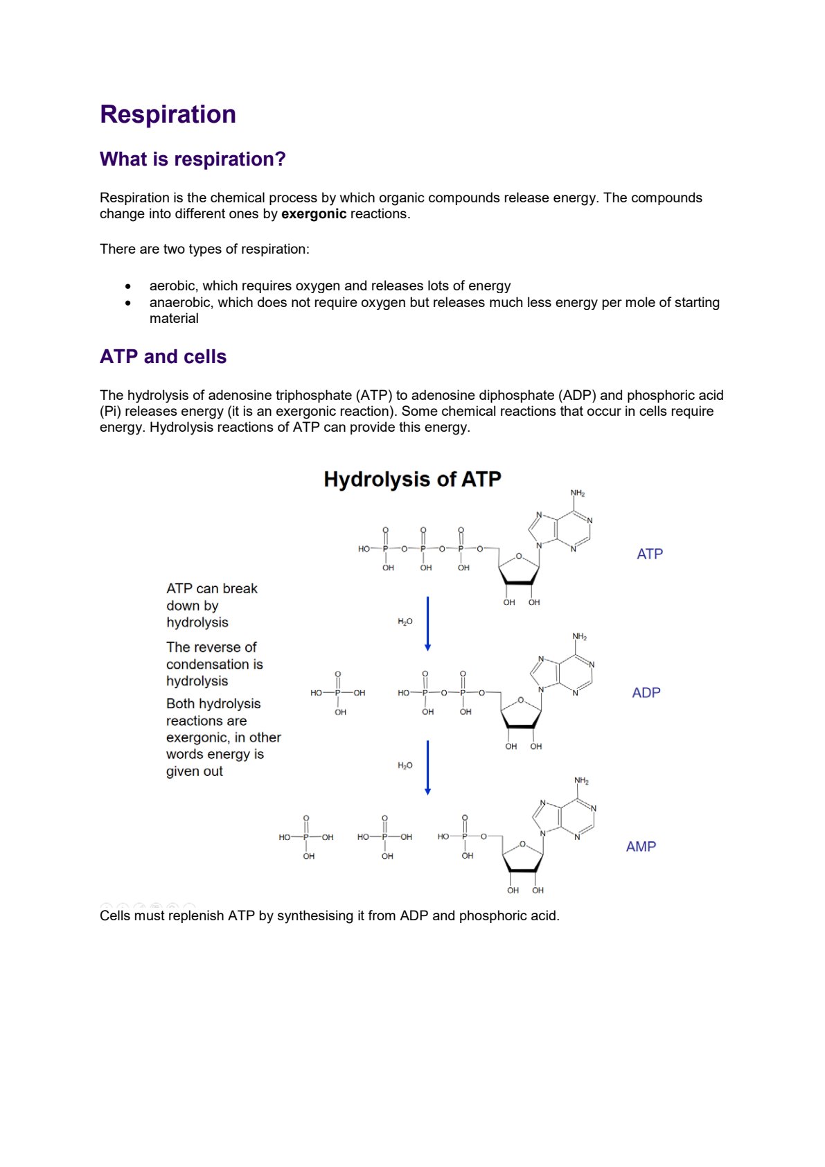 First page of Secondary Biology Respiration Notes Zimbabwe