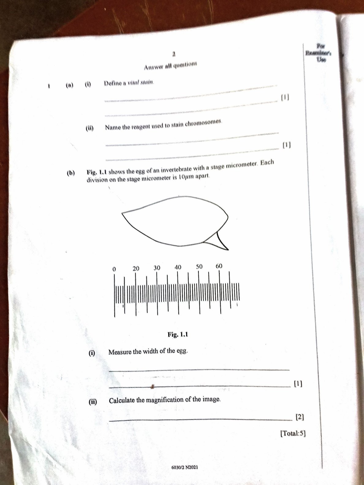 First page of ZIMSEC O-Level Biology Paper 2 November 2021 Question Paper