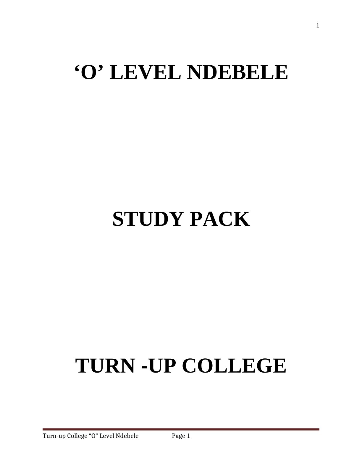 First page of ZIMSEC O-Level Ndebele Study Guide